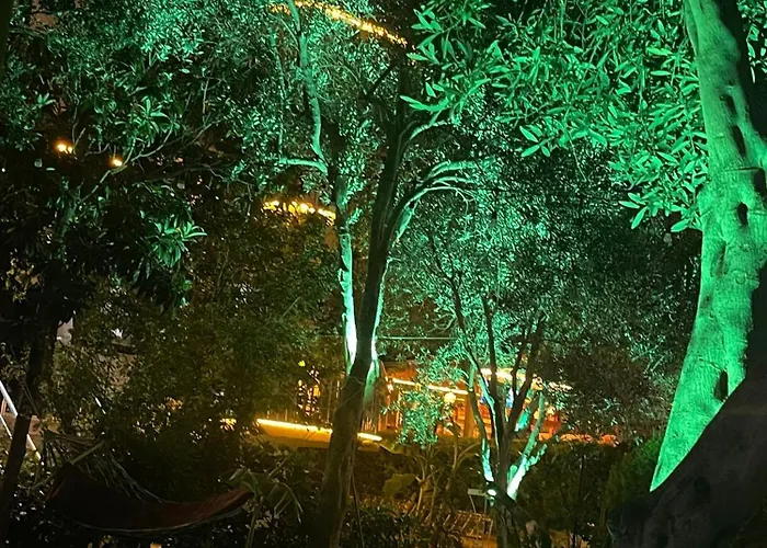 Gold Monami Hotel Fethiye