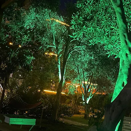 Gold Monami Hotel Fethiye